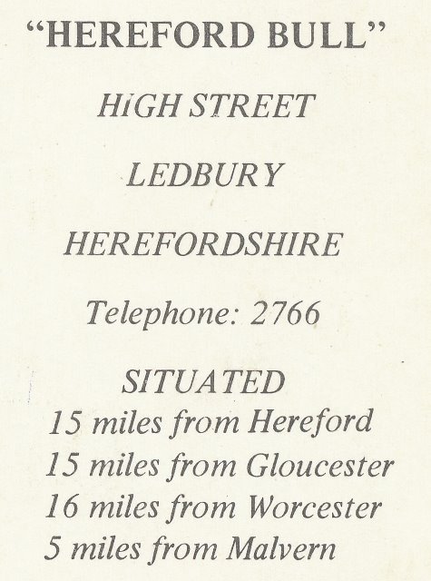 [The Hereford Bull Postcard]