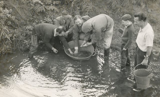 [Ledbury River Leadon]