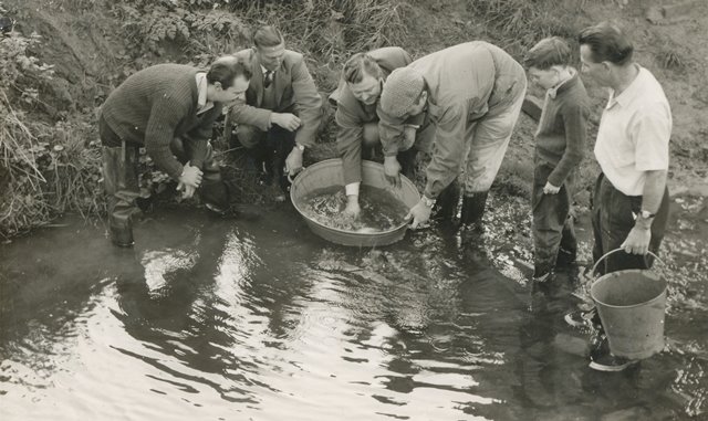 [Ledbury River Leadon]