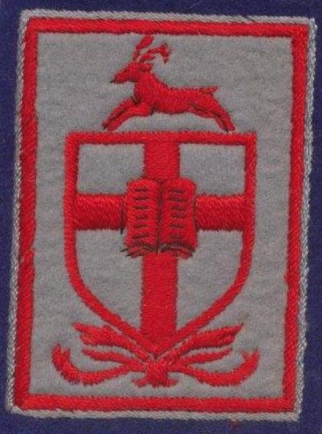 [County Secondary School Blazer Badge]